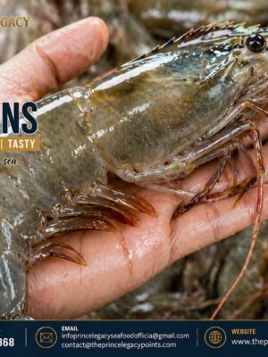 Jumbo Prawns 1KG Fresh | Big Size Prawns Online Pakistan | Prince Legacy