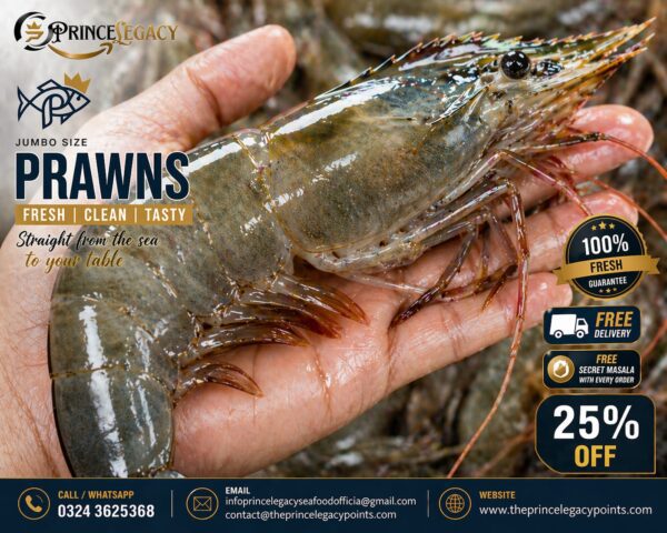 Jumbo Prawns 1KG Fresh | Big Size Prawns Online Pakistan | Prince Legacy